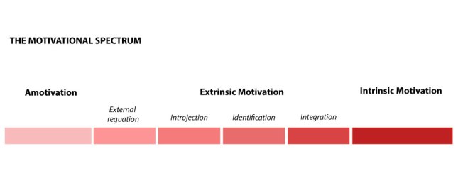Motivational Spectrum