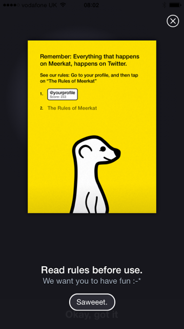 Meerkat 1