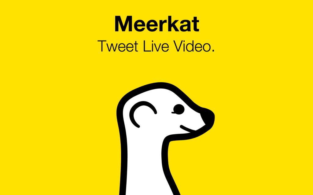 Meerkat (Product Review)